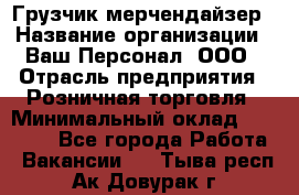 Грузчик-мерчендайзер › Название организации ­ Ваш Персонал, ООО › Отрасль предприятия ­ Розничная торговля › Минимальный оклад ­ 17 500 - Все города Работа » Вакансии   . Тыва респ.,Ак-Довурак г.